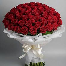 Букет 101 Красная роза Блэк Мэджик #REPLACE_PRED# Мордово