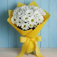 Букет цветов из:  Хризантемы в Мордово
