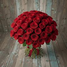 Букет 55 Красных роз Фридом #REPLACE_PRED# Мордово