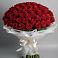 Букет 101 Красная роза Блэк Мэджик в Мордово