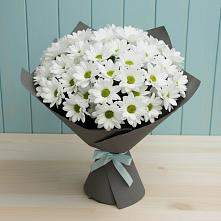 Букет цветов из:  Хризантемы в Мордово