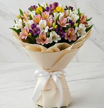 Букет цветов из:  Альстромерии в Мордово