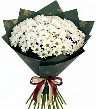 Букет цветов из:  Хризантемы в Мордово