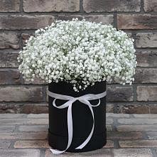 Цветочная композиция из Гипсофила в шляпной коробке в Мордово