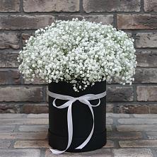 Цветочная композиция из Гипсофила в шляпной коробке в Мордово